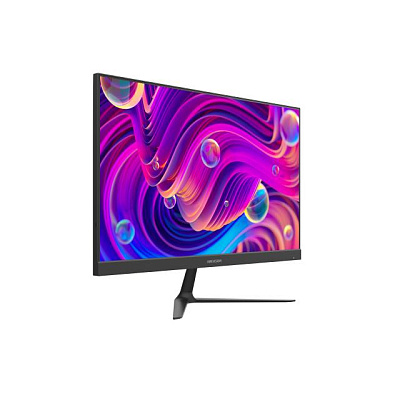 картинка Hikvision DS-D5024F2-BV2 Монитор цветной  (23,8") от компании Intant